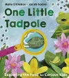 One Little Tadpole cover
