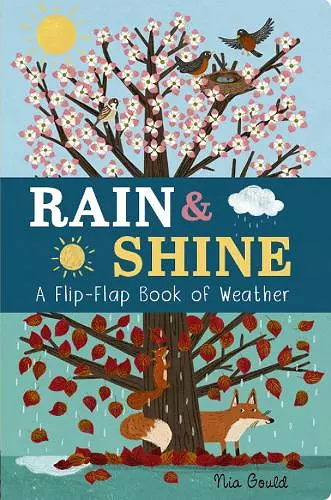 Rain & Shine: A Flip-Flap Book of Weather cover