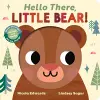 Hello There, Little Bear! cover