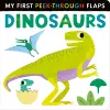 Dinosaurs cover