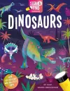 Seek and Find Dinosaurs cover