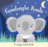 Goodnight Koala cover