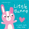 Little Ones Love Little Bunny cover