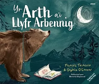 Arth a'i Llyfr Arbennig, Yr / Bear and her Book, The cover
