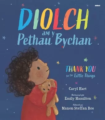 Diolch am y Pethau Bychain / Thank you for the Little Things cover