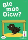 Llyfrau Hwyl Magi Ann: Ble Mae Dicw? cover