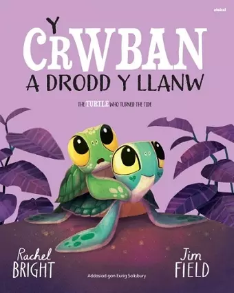 Y Crwban Drodd y Llanw / The Turtle Who Turned The Tide cover