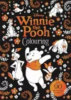 Disney: Winnie The Pooh Colouring cover
