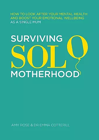 Surviving Solo Motherhood cover