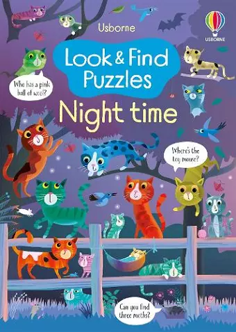 Look and Find Puzzles Night time cover