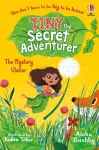 Tiny the Secret Adventurer: The Mystery Visitor cover