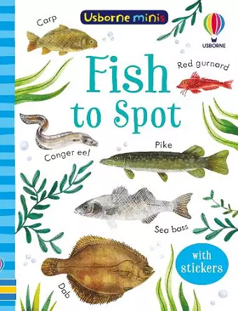 Fish to Spot cover