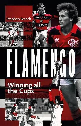 Flamengo cover