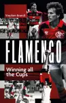 Flamengo cover