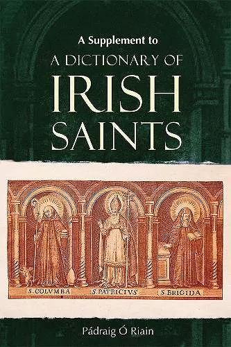 A Supplement to a Dictionary of Irish Saints cover