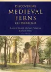 Discovering Medieval Ferns, Co. Wexford cover