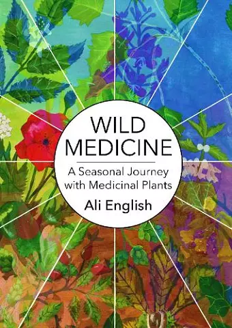 Wild Medicine cover