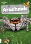 Arachnids cover