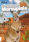 Marsupials cover