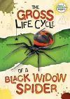 The Gross Life Cycle of a Black Widow Spider cover