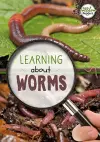 Learning about Worms cover