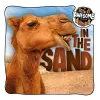 In the Sand cover