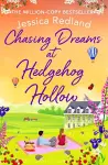 Chasing Dreams at Hedgehog Hollow cover