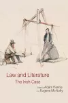 Law and Literature: The Irish Case cover