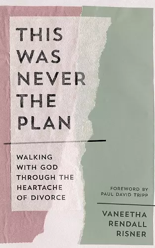 This Was Never the Plan cover