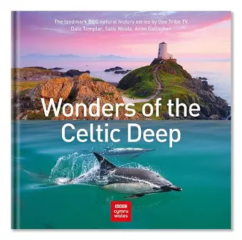 Wonders of the Celtic Deep cover