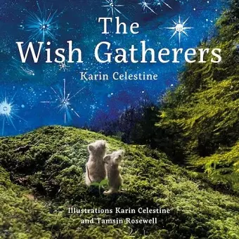 The Wish Gatherers cover