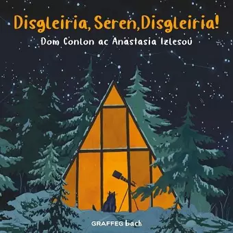 Disgleiria, Seren, Disgleiria! cover