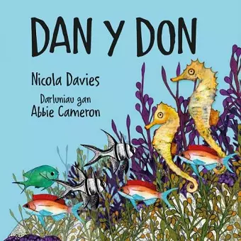 Dan y Don cover