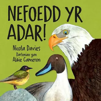 Nefoedd Yr Adar! cover