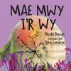 Mae Mwy I’r Wy cover