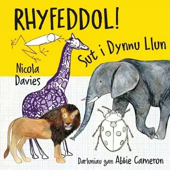 Rhyfeddol! Sut i Dynnu Llun cover