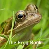 Frog Book, The cover