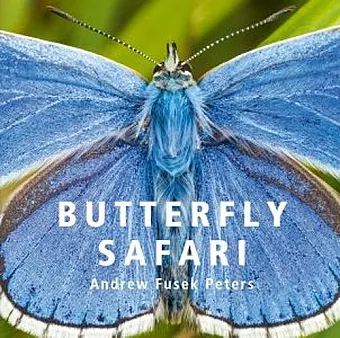 Butterfly Safari cover