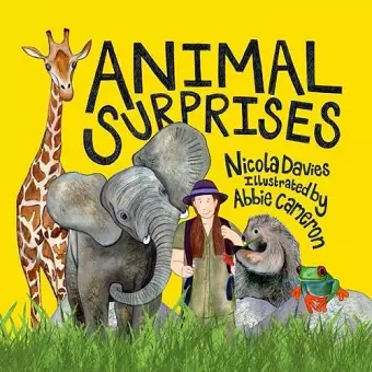 Animal Surprises cover