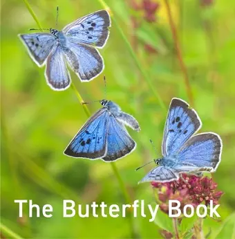 The Butterfly Book cover