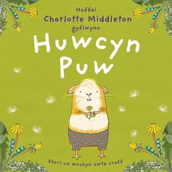 Huwcyn Puw cover