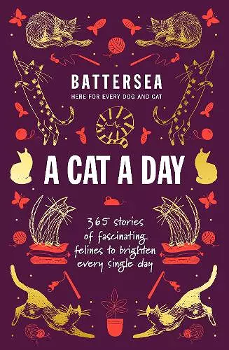 Battersea Dogs and Cats Home - A Cat a Day cover