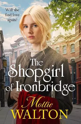 The Shopgirl of Ironbridge cover