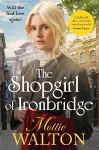 The Shopgirl of Ironbridge cover