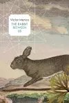 The Rabbit Between Us cover