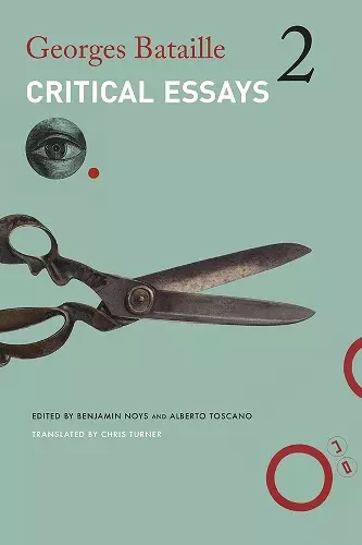 Critical Essays cover