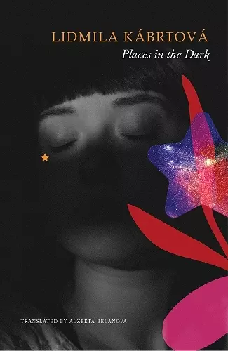 Places in the Dark cover