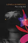 Places in the Dark cover