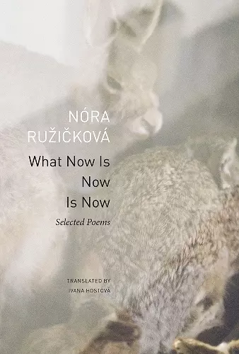 What Now Is Now Is Now cover