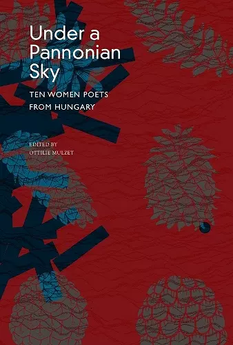 Under a Pannonian Sky cover